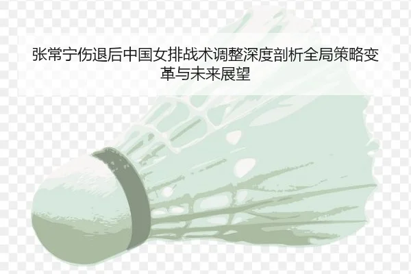张常宁伤退后中国女排战术调整深度剖析全局策略变革与未来展望