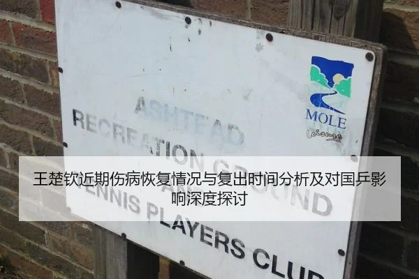 王楚钦近期伤病恢复情况与复出时间分析及对国乒影响深度探讨